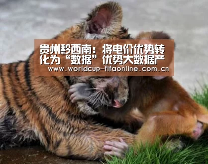 贵州黔西南:将电价优势转化为“数据”优势大数据产业已初具规模:竞猜攻略(图3) 竞猜攻略