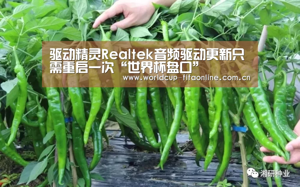 驱动精灵Realtek音频驱动更新只需重启一次“世界杯盘口”(图2) 世界杯盘口